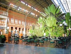 Urlaub Madrid - Bahnhof Madrid Atocha (001)